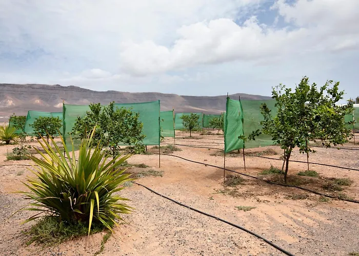 Abundia House * カレタ・デ・フステ